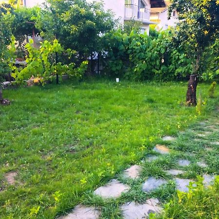 Alpin Guest House Szapareva Banja Kültér fotó