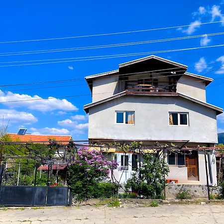 Alpin Guest House Szapareva Banja Kültér fotó