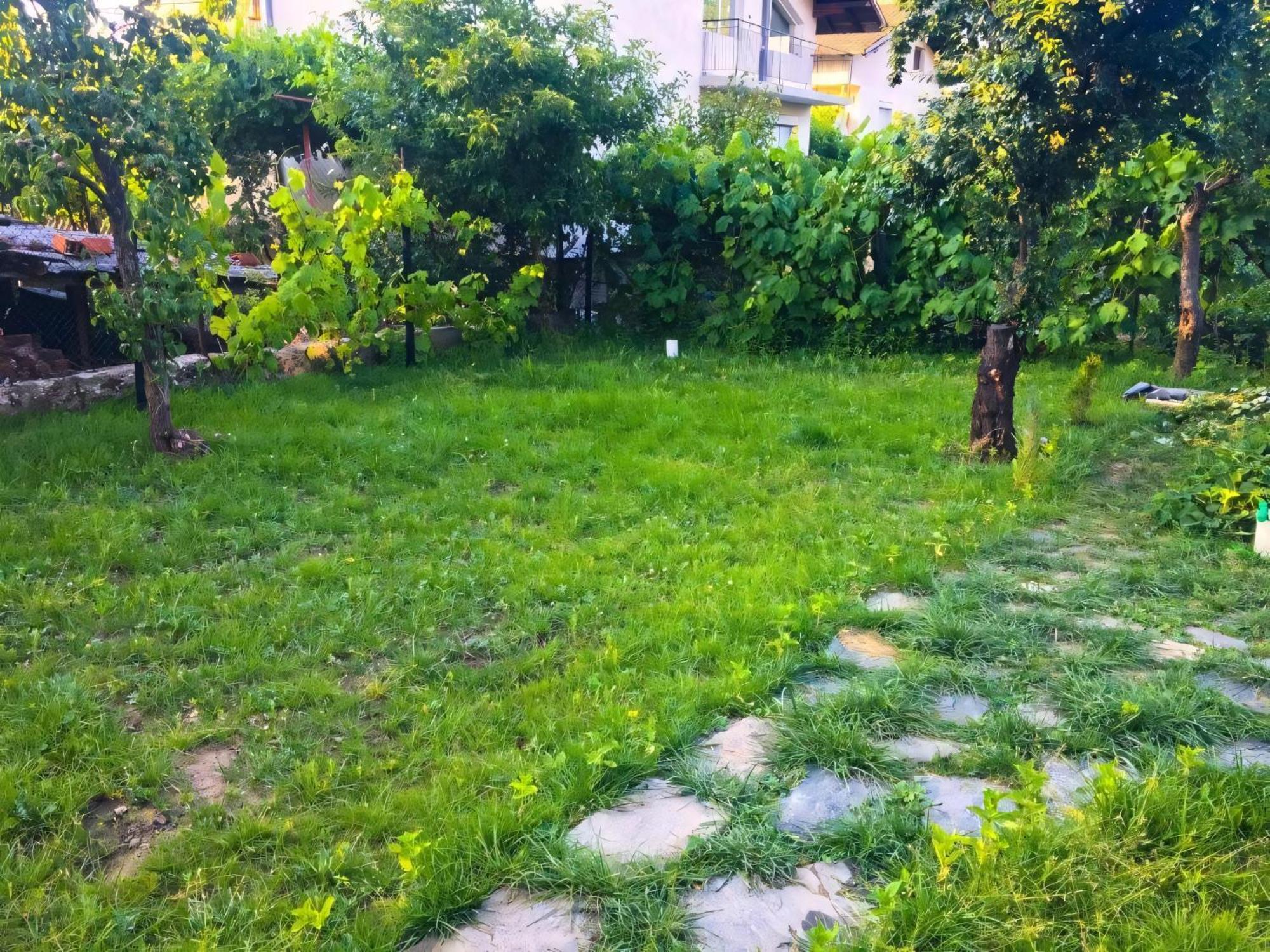 Alpin Guest House Szapareva Banja Kültér fotó