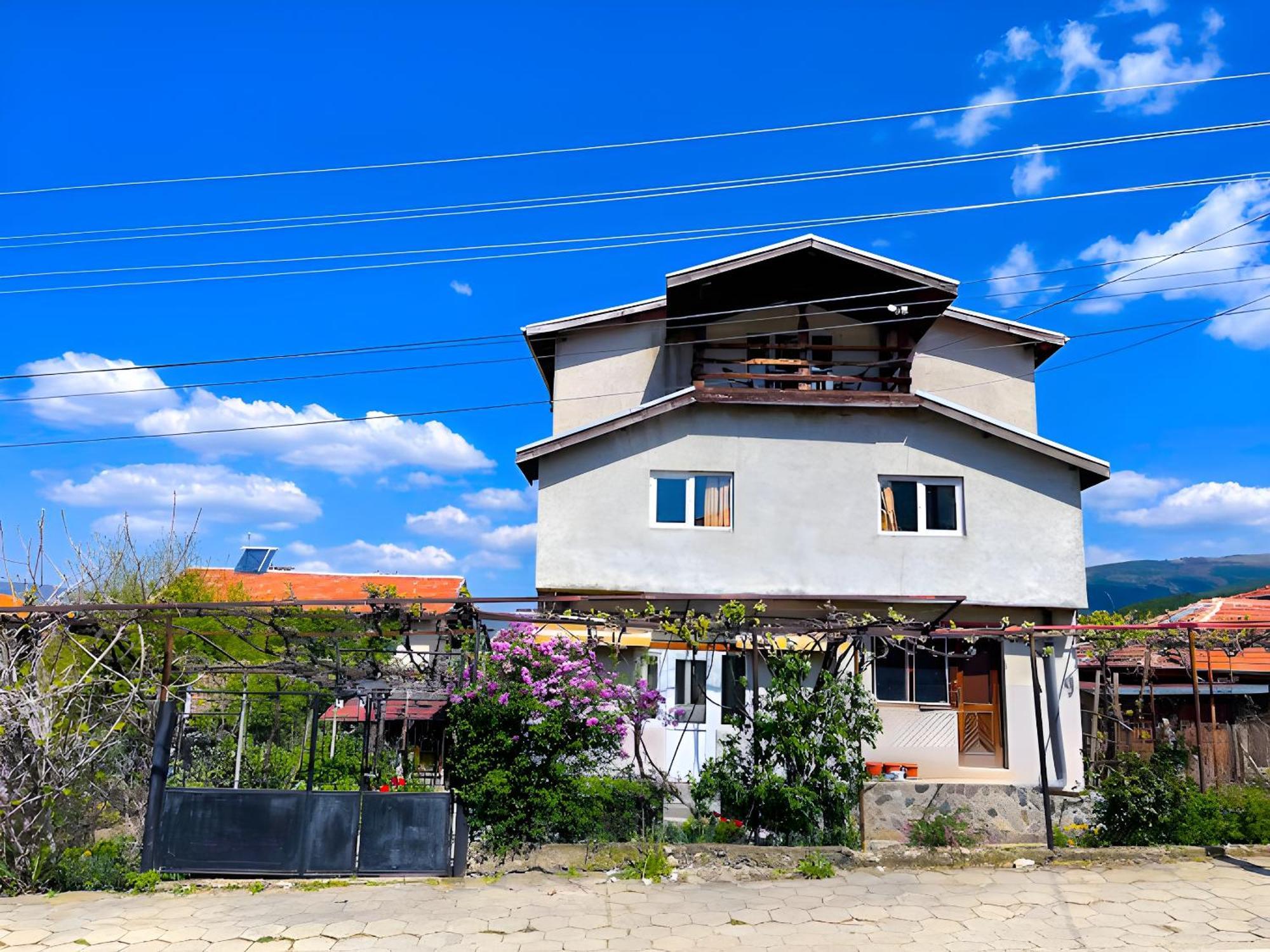 Alpin Guest House Szapareva Banja Kültér fotó